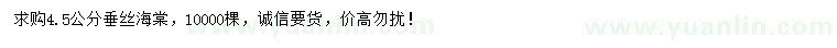 求購4.5公分垂絲海棠