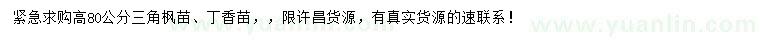 求購高度80公分三角楓、丁香