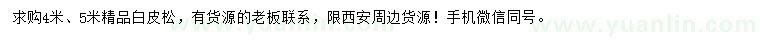 求購4、5米白皮松
