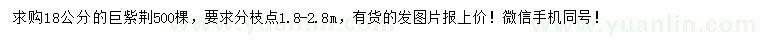 求購18公分巨紫荊