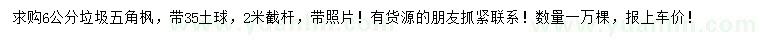 求購(gòu)6公分五角楓