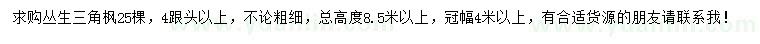 求購(gòu)高度8.5米以上叢生三角楓