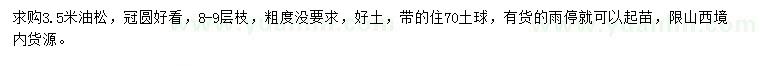 求購(gòu)3.5米油松
