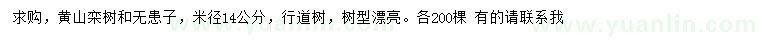 求購米徑14公分黃山欒樹、無患子