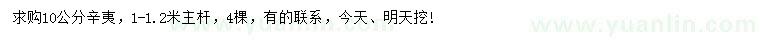 求購10公分辛夷