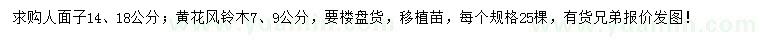 求購(gòu)14、18公分人面子、7、9公分黃花風(fēng)鈴木
