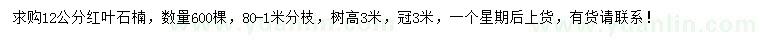 求購12公分紅葉石楠