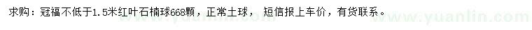 求購冠福1.5米以上紅葉石楠球