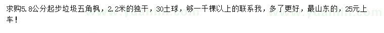 求購5.8公分起步五角楓