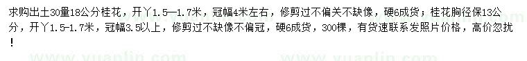 求購30量18公分、胸徑13公分桂花