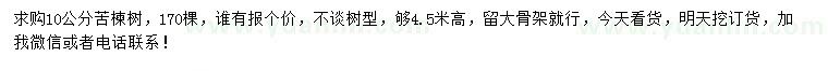 求購10公分苦楝樹