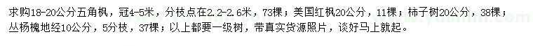 求購(gòu)五角楓、美國(guó)紅楓、柿子樹(shù)等