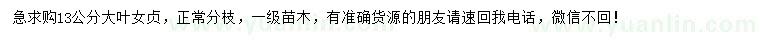 求購13公分大葉女貞