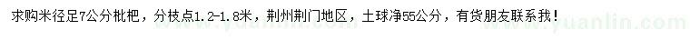 求購米徑足7公分枇杷