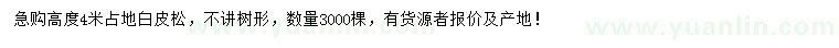 求購高度4米白皮松