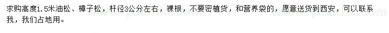 求購高度1.5米油松、樟子松