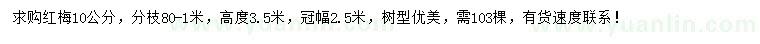 求購10公分紅梅