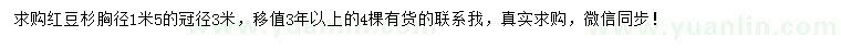 求購紅豆杉