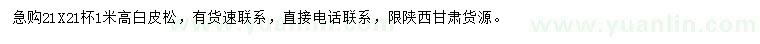 求購(gòu)高度1米白皮松