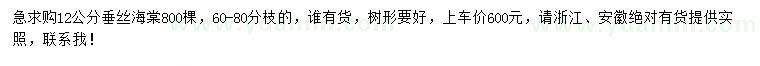 求購12公分垂絲海棠