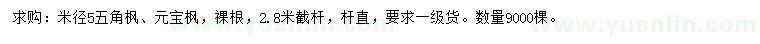 求購 米徑5公分五角楓、元寶楓
