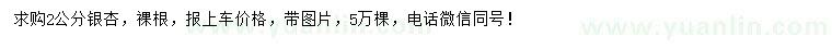 求購2公分銀杏