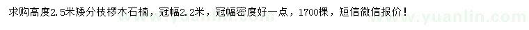 求購(gòu)高度2.5米欏木石楠