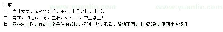求購(gòu)胸徑12公分大葉女貞、南欒
