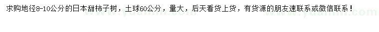 求購地徑8-10公分日本甜柿子樹