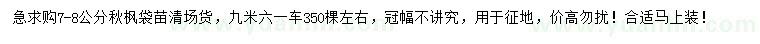 求購7-8公分秋楓