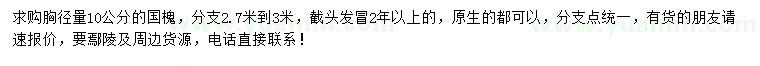 求購(gòu)胸徑量10公分國(guó)槐