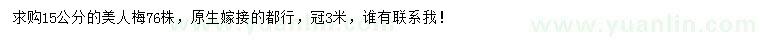 求購15公分美人梅