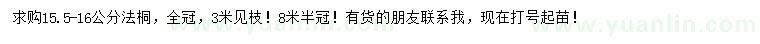 求購15.5-16公分法桐