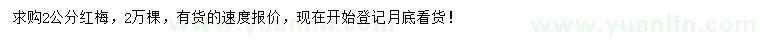 求購2公分紅梅