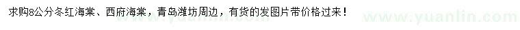 求購8公分冬紅海棠、西府海棠