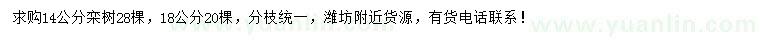 求購14、18公分欒樹