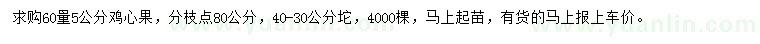 求購(gòu)60量5公分雞心果