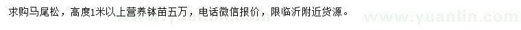 求購高度1米以上馬尾松