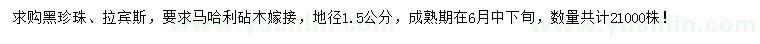 求購(gòu)地徑1.5公分嫁接大櫻桃