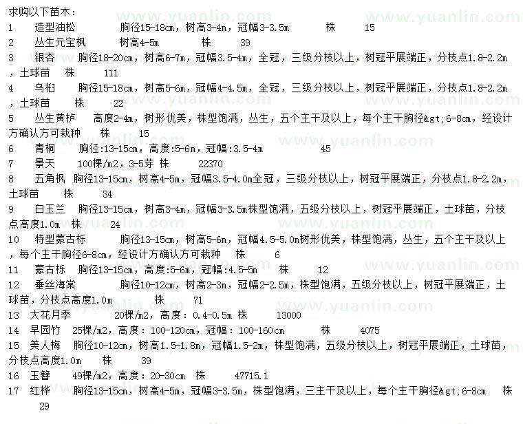 求購(gòu)造型油松、叢生元寶楓、銀杏等