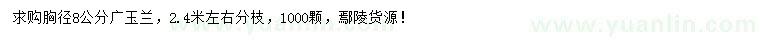 求購(gòu)胸徑8公分廣玉蘭