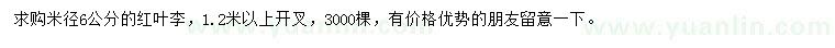 求購米徑6公分紅葉李
