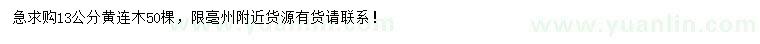 求購13公分黃連木