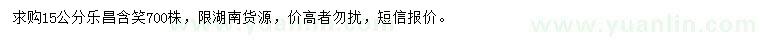 求購15公分樂昌含笑