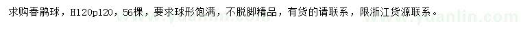 求購高度1.2米春鵑球