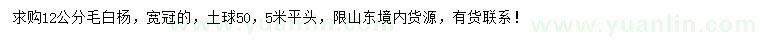 求購12公分毛白楊