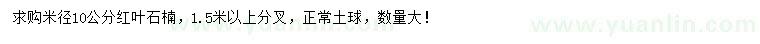 求購米徑10公分紅葉石楠