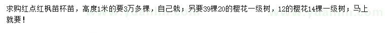 求購高度1米紅點紅楓、12、20公分櫻花