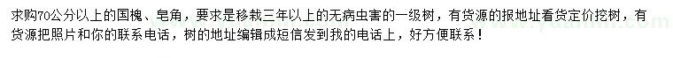 求購70公分以上國槐、皂角