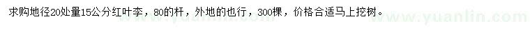 求購(gòu)20量15公分紅葉李